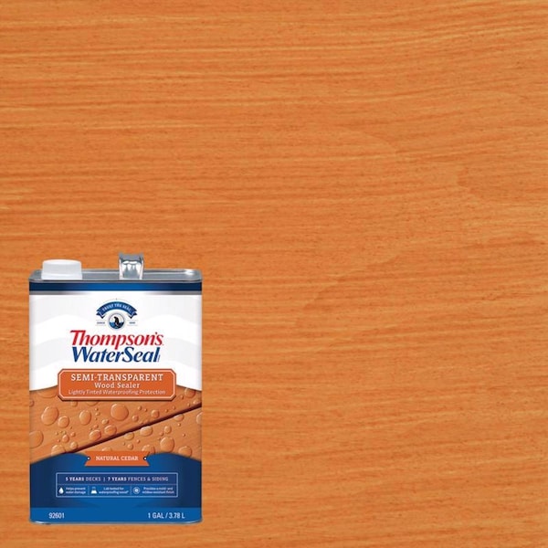 Thompsons Waterseal Thompson's WaterSeal Semi-Transparent Natural Cedar Waterproofing Wood Sealer 1 gal TH.092601-16 - main